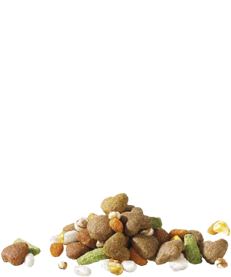 Happy Life Adult Chicken Dinner, 15 kg - Image 2
