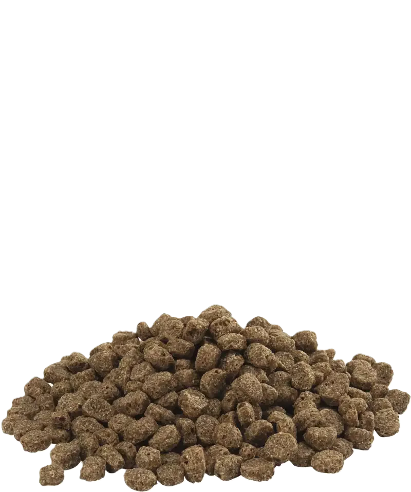 Country's Best FLOATING ALLROUND 15 kg - Image 2