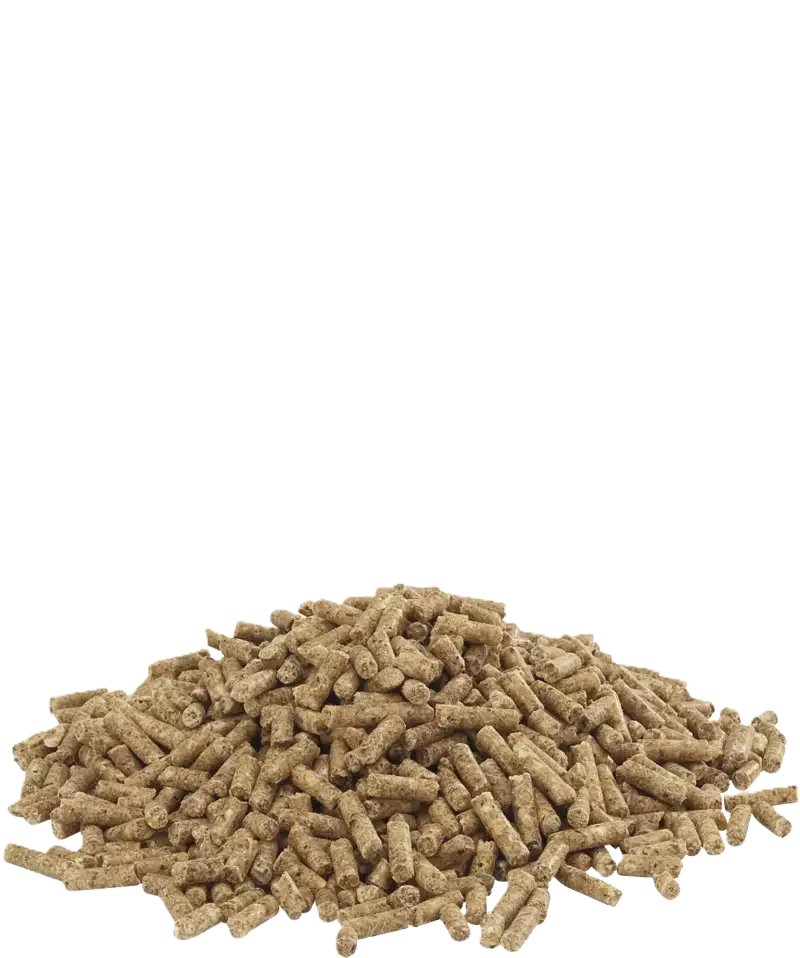 Country's Best Duck 2 pellet nevelő kacsatáp 20kg - Image 2