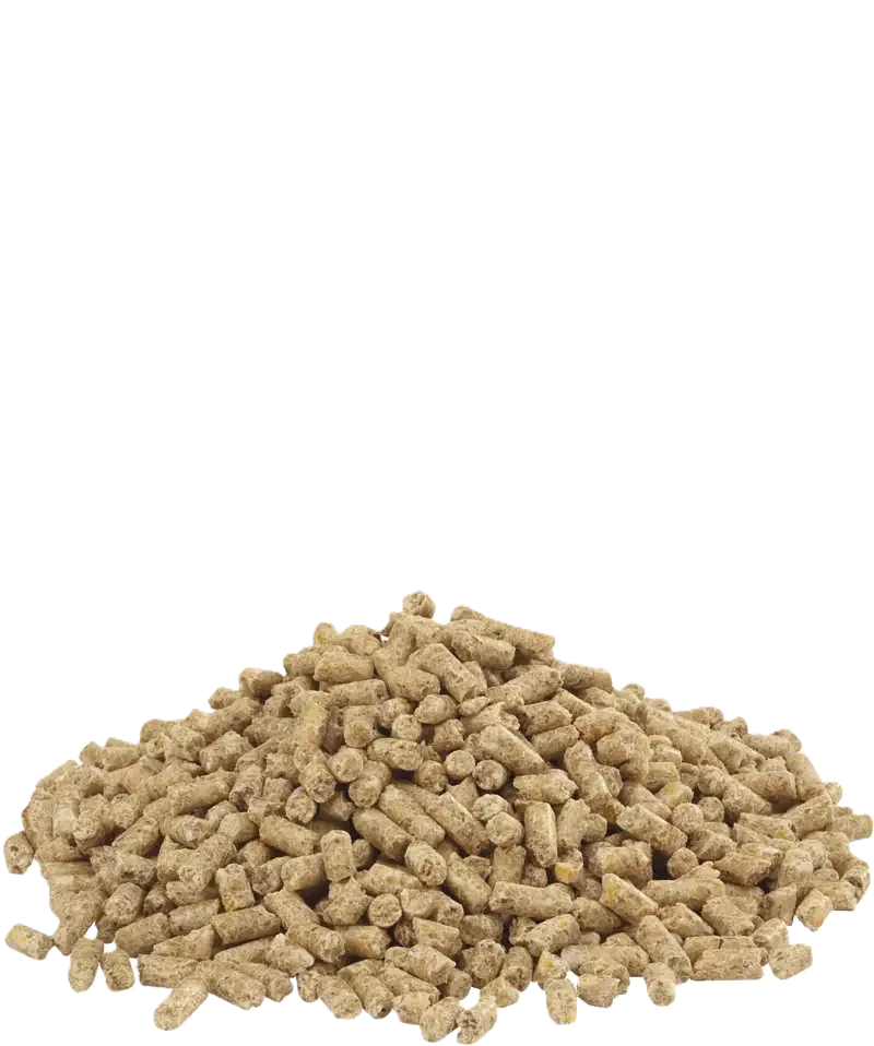Country's Best DINDO 2.2 pellet 20 kg - Image 2