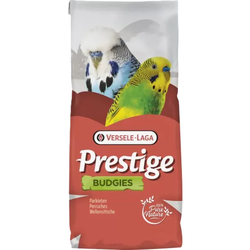 Budgies 20 kg