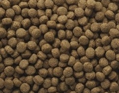 Classic Puppy, 10 kg - Image 2