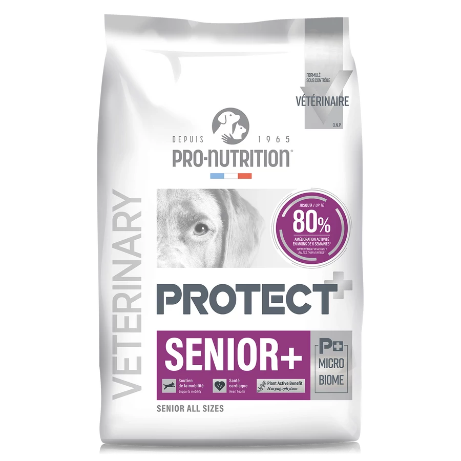 Pro-Nutrition Protect Dog Senior+ (12 kg)