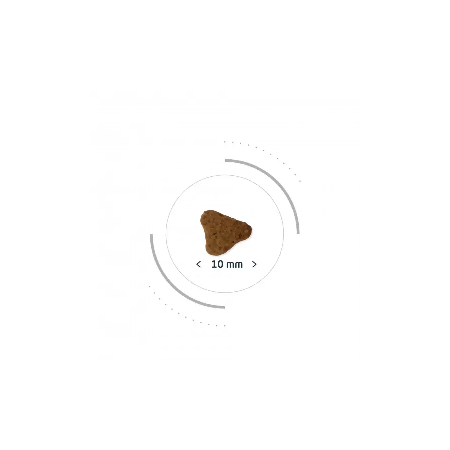 Pro-Nutrition Protect Cat Urinary, 8 kg - Image 2